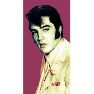 Quadro moderno pronto da appendere: Stampa arte per decorazione interni con design contemporaneo – ART-IT-STICK (Elvis Color)